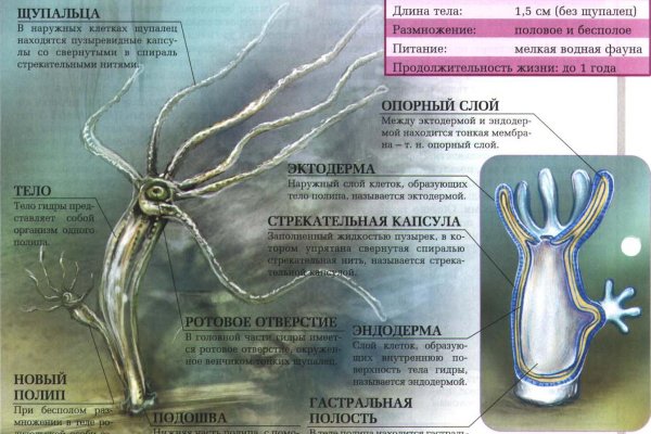 Кракен сайт kr2web in официальный ссылка