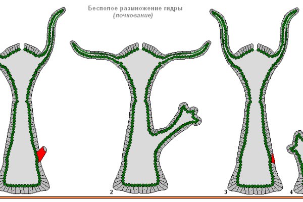 Кракен онлайн магазин