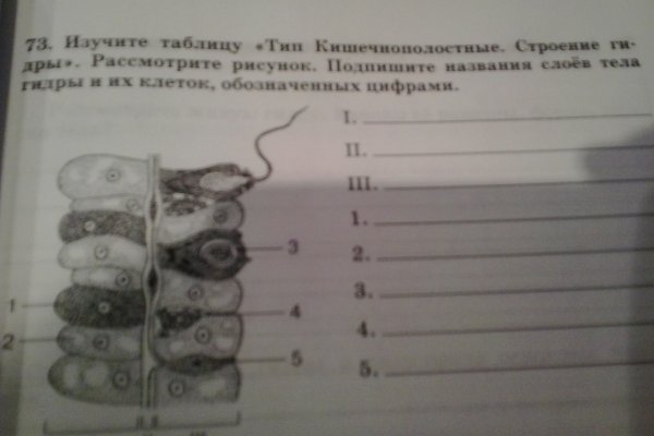 Рабочее зеркало крамп санкт петербург