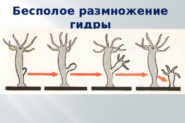 Кракен магазин нарков
