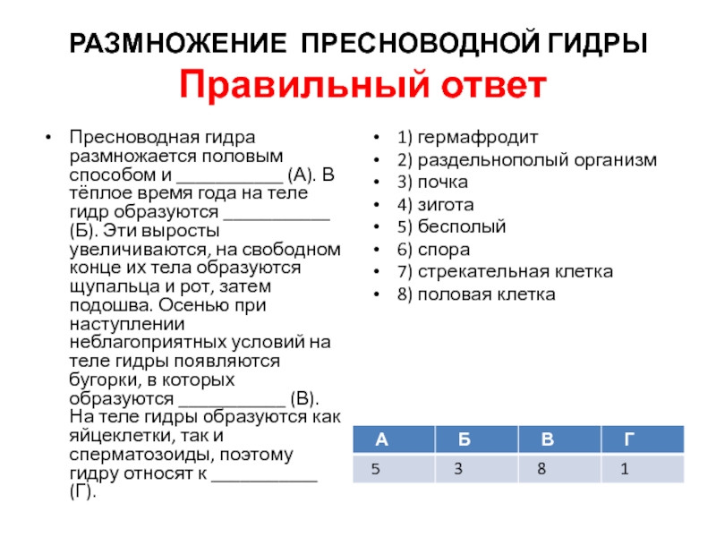 Kraken ссылка онион правильная